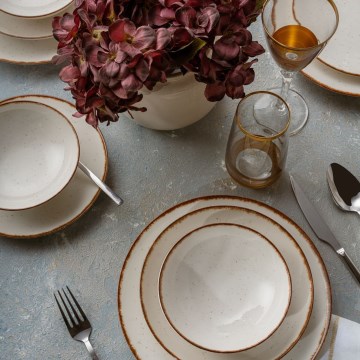 24-teiliges Geschirrset beige/braun/Porzellan