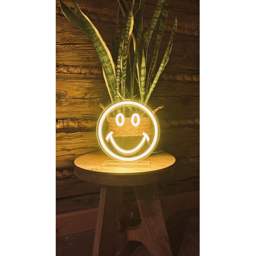 2Kids Toys - Lampada neon da tavolo a LED 5W/USB - faccina sorridente