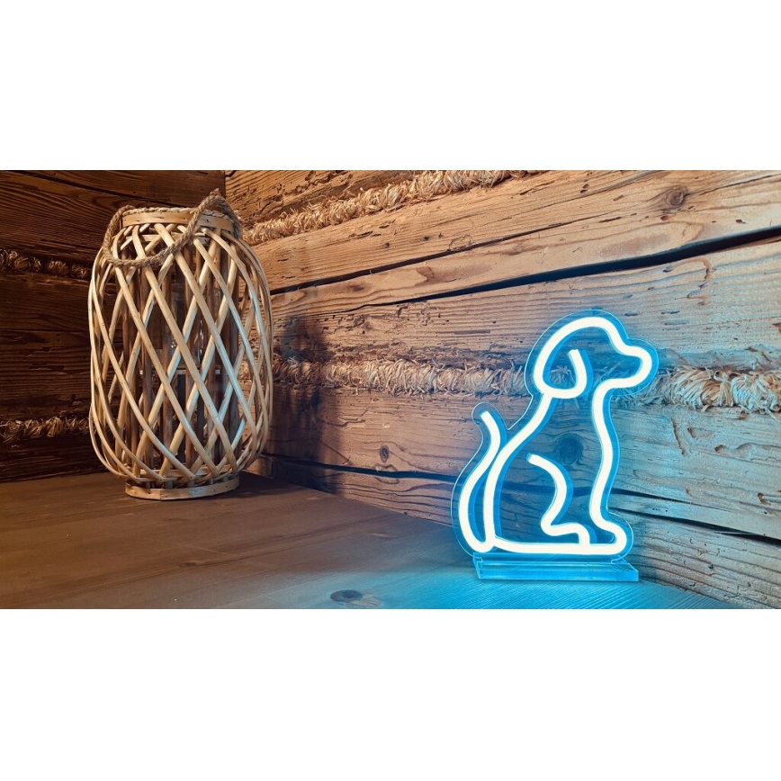 2Kids Toys - LED Neon tavolo decorazione LED/5W/USB cane