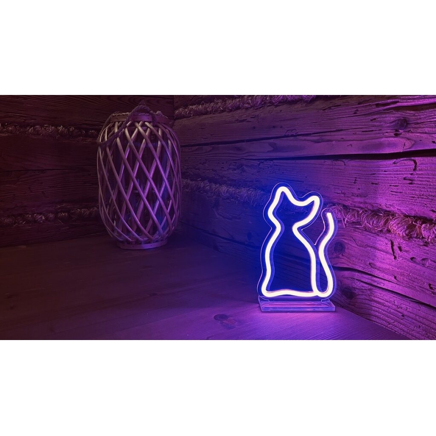2Kids Toys - LED Neon tavolo decorazione LED/5W/USB gatta
