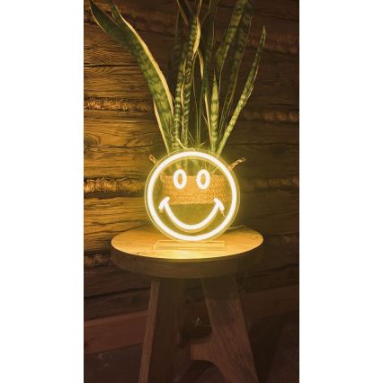 2Kids Toys - LED-Neon-Tischdekoration LED/5W/USB Smiley