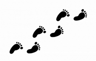 Come procedere se la spedizione è danneggiata o incompleta?