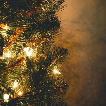 Illuminations pour sapin de Noël