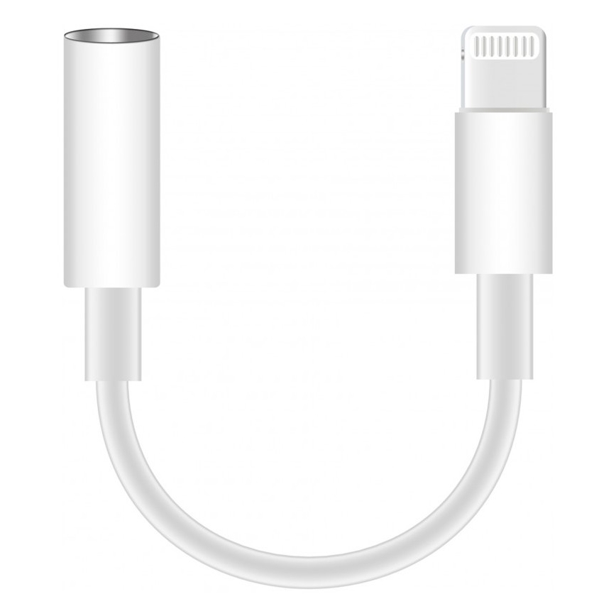 Adaptateur Lightning pour AUX