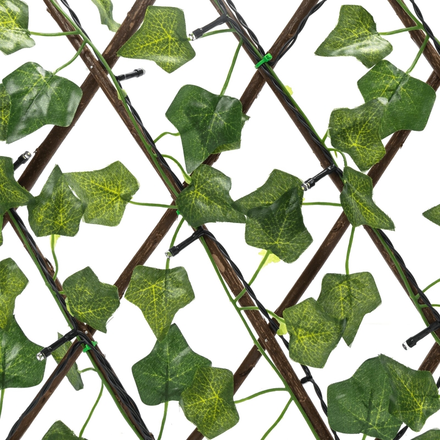 Aigostar - Catena LED solare 56xLED/2x0,4m IP65 bianco caldo ivy
