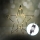 Aigostar-Decorazione natalizia a LED per esterno LED/3,6W/230V stella 30cm IP44 bianco caldo