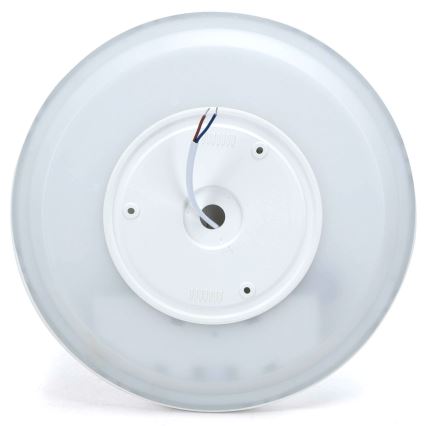 Aigostar - Dimmbare LED-RGBW-Deckenleuchte MESH LED/24W/230V 3000-6500K weiß + Fernbedienung