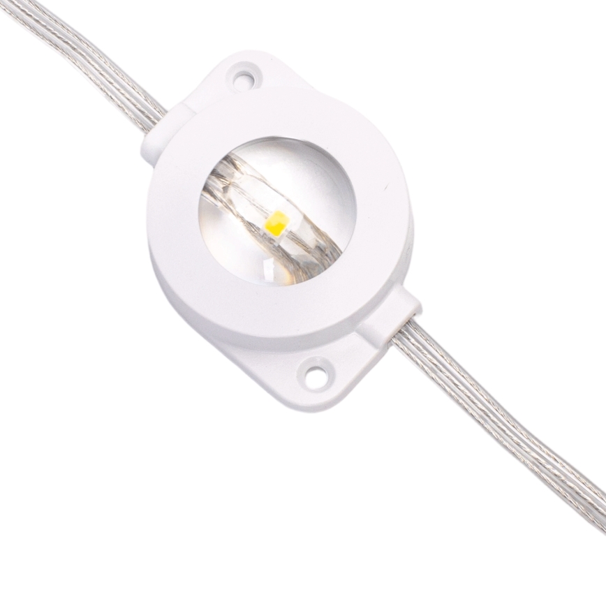 Aigostar - Guirlande de Noël LED dimmable d'extérieur 50 LED/8 fonctions 20 m IP44 multicolore + télécommande
