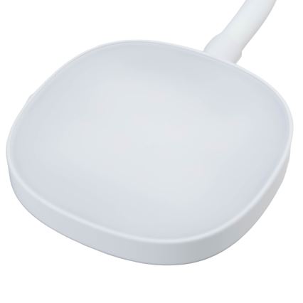 Aigostar - Lampada da tavolo LED dimmerabile LED/4W/5V 4000K