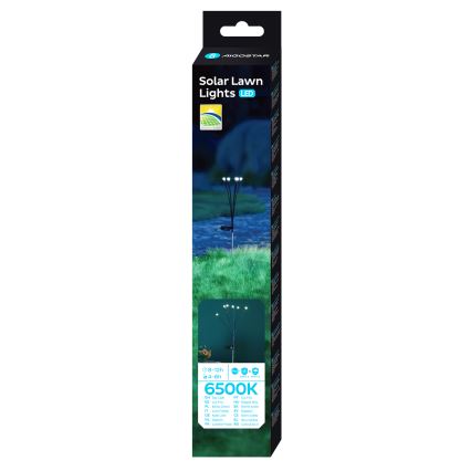 Aigostar - Lampada solare LED decorativa LED/0,04W/1,2V 68,5cm 6500K IP44