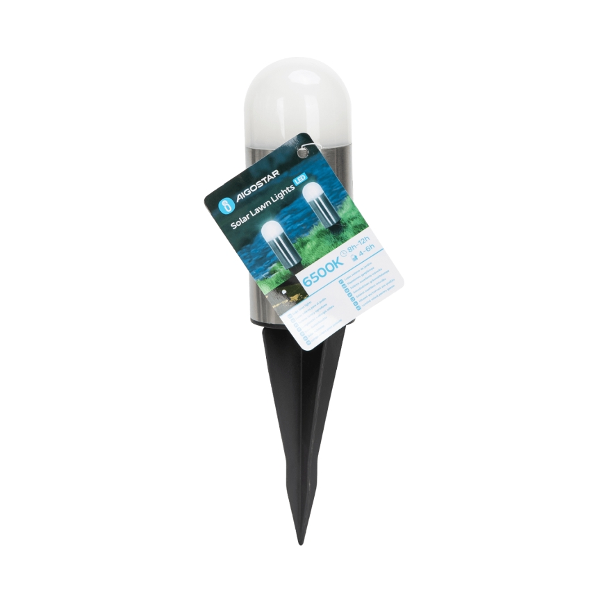 Aigostar - Lampada solare LED LED/0,006W/1,2V 20cm cromo opaco 6500K IP44