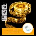 Aigostar - LED  catena 50xLED/3xAA 5m bianco caldo oro