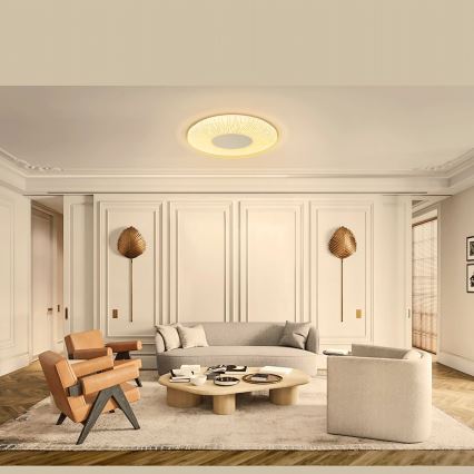 Aigostar - LED-Deckenleuchte LED/12W/230V 3000K d 26cm