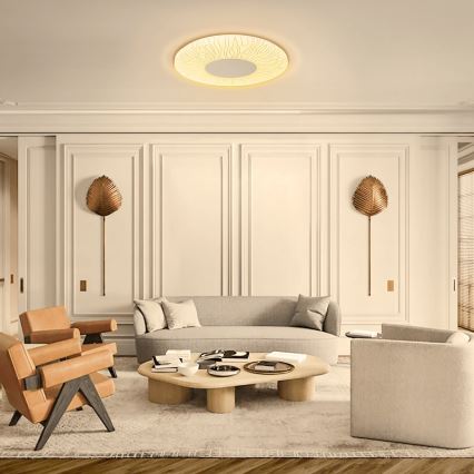 Aigostar - LED-Deckenleuchte LED/36W/230V 3000K d 38cm