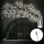 Aigostar - LED Decorazione da muro 144xLED/5W/5V bianco freddo