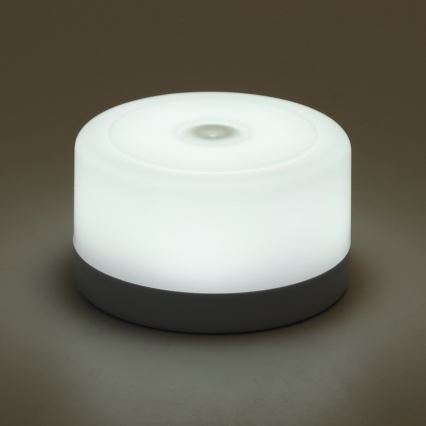 Aigostar - LED Dimmerabile portable luce notturna LED/1W/5V 6500K + USB