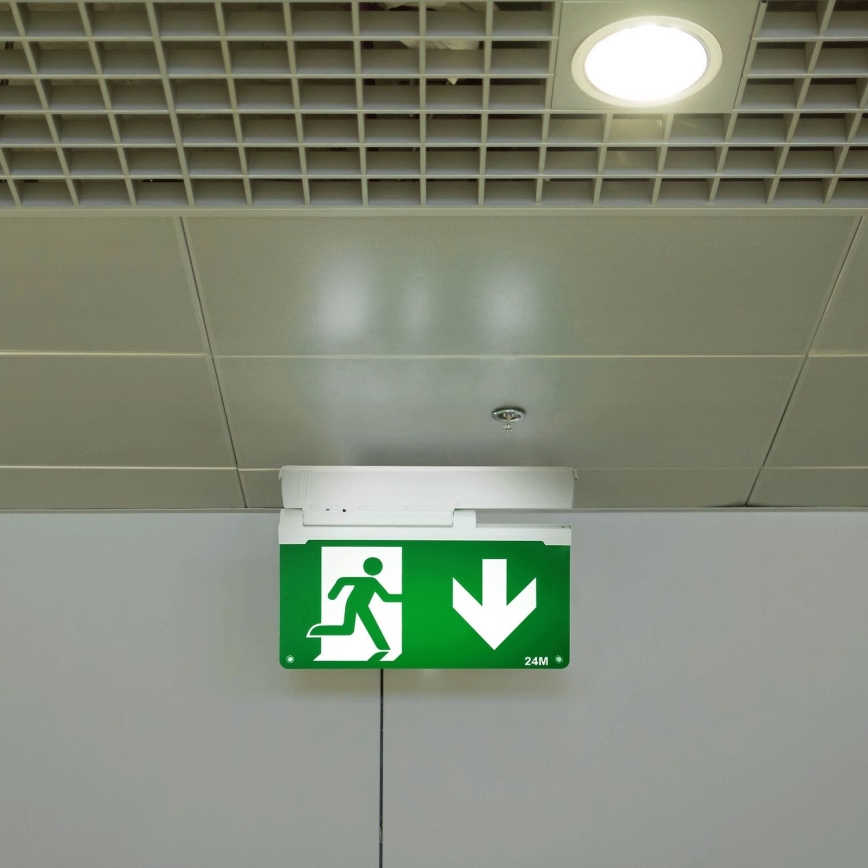 Aigostar - LED-Notleuchte EMERGENCY EXIT LED/3,6W/230V 6500K 500mAh