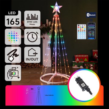 Aigostar - LED RGBICW intelligente Weihnachtsdekoration für den Außenbereich MESH 165 LEDs/230 V 1,8 m IP44 + Fernbedienung