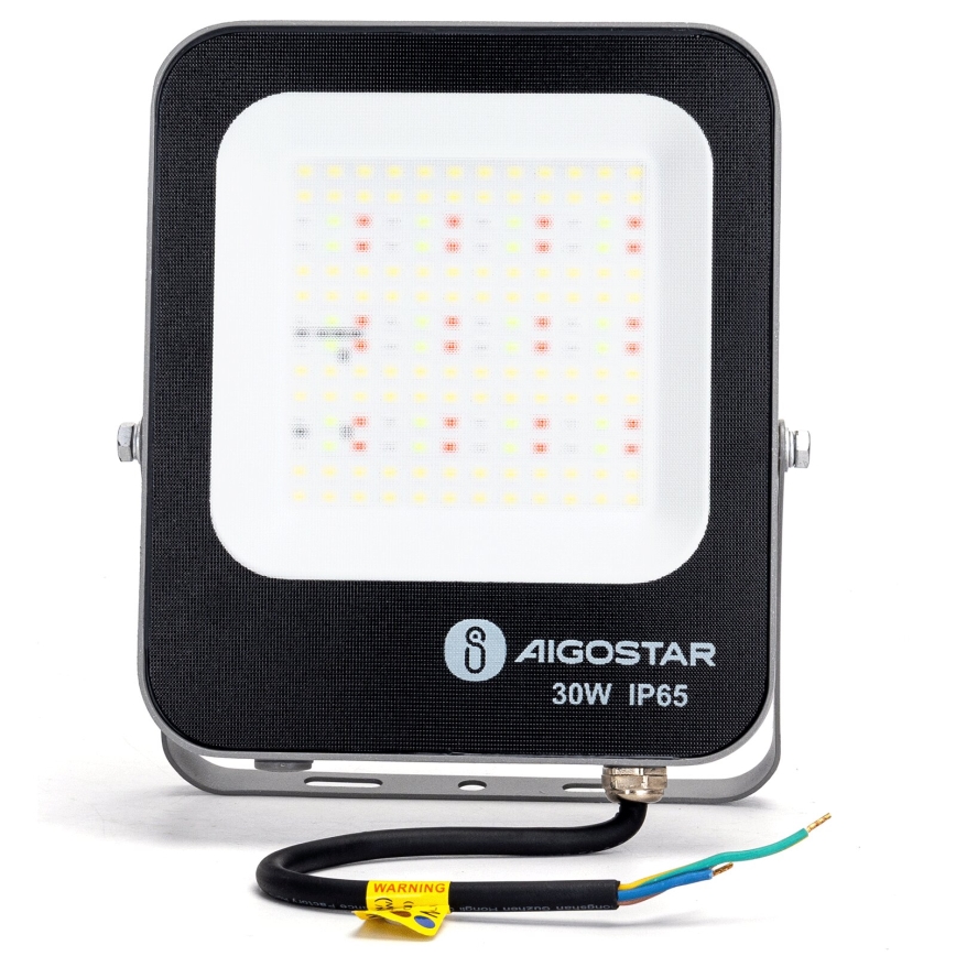 Aigostar - LED RGBW Proiettore dimmerabile MESH Smart LED/30W/230V 6500K IP65 + telecomando