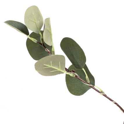 Aigostar - LED Solar-Dekoration 30xLED/2,6m IP65 300 mAh warmweiß Eukalyptus