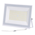 Aigostar - LED-Strahler LED/100W/230V 6500K IP65