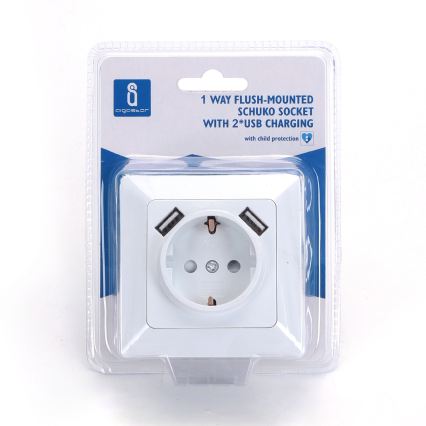 Aigostar - Presa domestica SCHUKO 250V + 2x USB con placca bianca