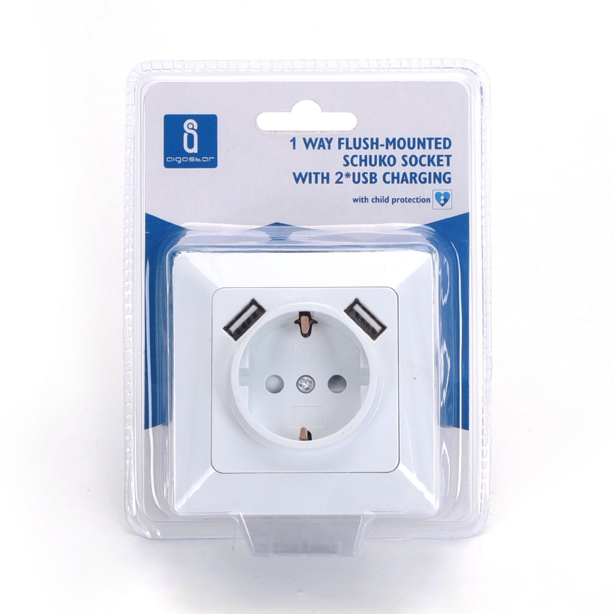 Aigostar - Presa domestica SCHUKO 250V + 2x USB con placca bianca