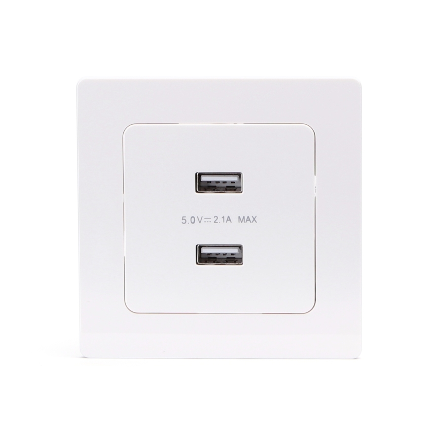 Aigostar - Presa USB da parete con cornice, 2 porte USB-A, bianca