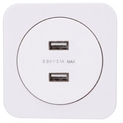 Aigostar - Prise d'alimentation USB avec cadre, 2x USB-A, blanche