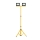 Aigostar - Proiettore LED con stativo 2xLED/30W/230V 6500K IP65 arancione/nero