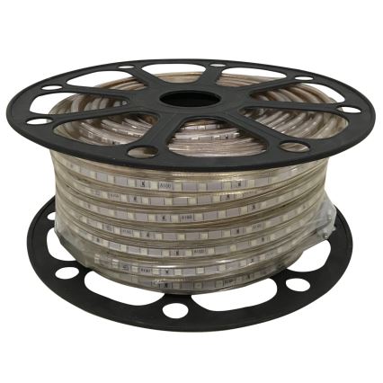 Aigostar - Ruban 50m LED/300W/230V IP65 vert