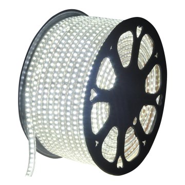 Aigostar - Ruban LED extérieur 50m LED/350W/230V 6500K IP65