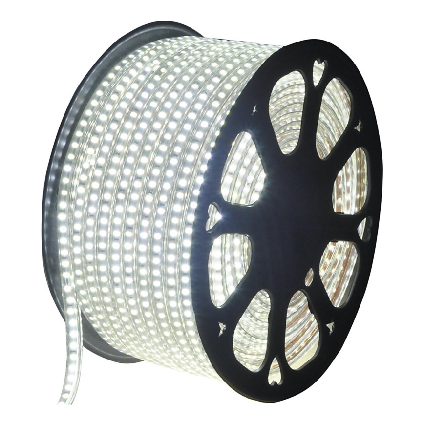 Aigostar - Striscia LED da esterno 50m LED/350W/230V 6500K IP65