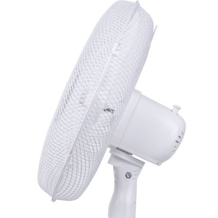 Aigostar - Turmventilator 40W/230V 120 cm weiß