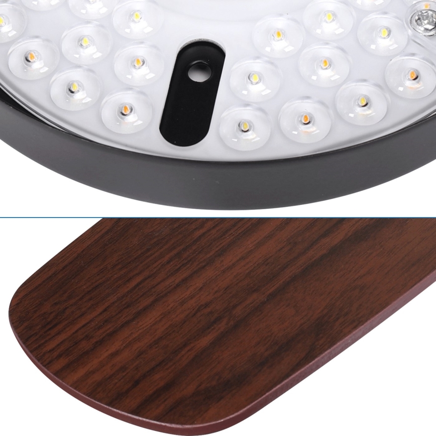 Aigostar - Ventilatore da soffitto dimmerabile a LED LED/24W/230V 2700-6500K 106,6 cm + telecomando
