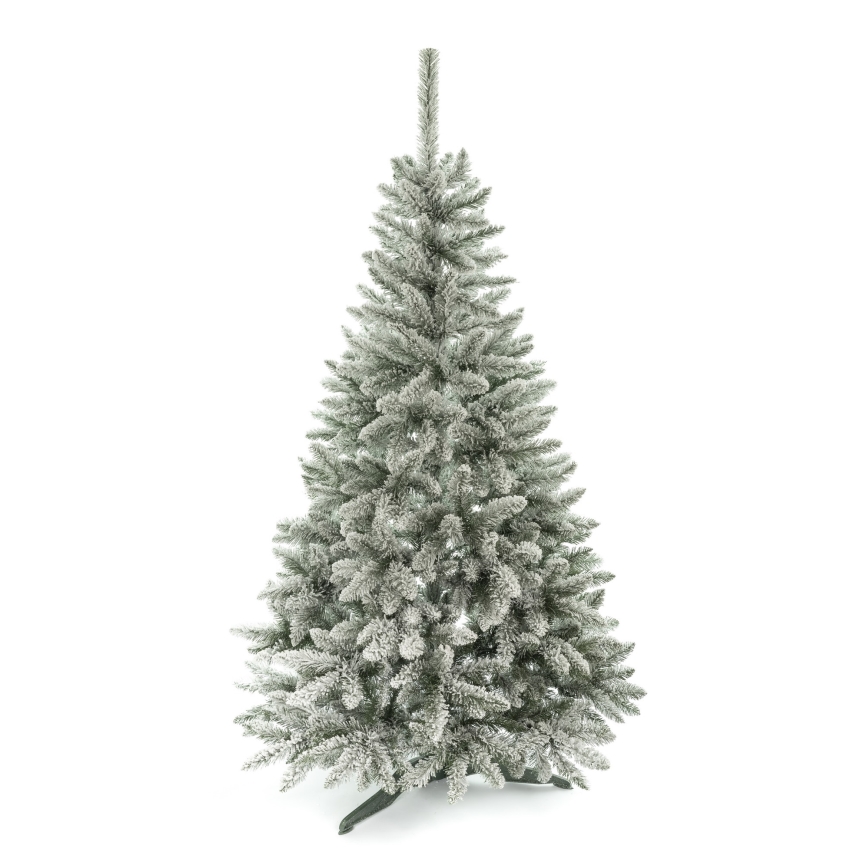 Albero di Natale 180 cm abete rosso