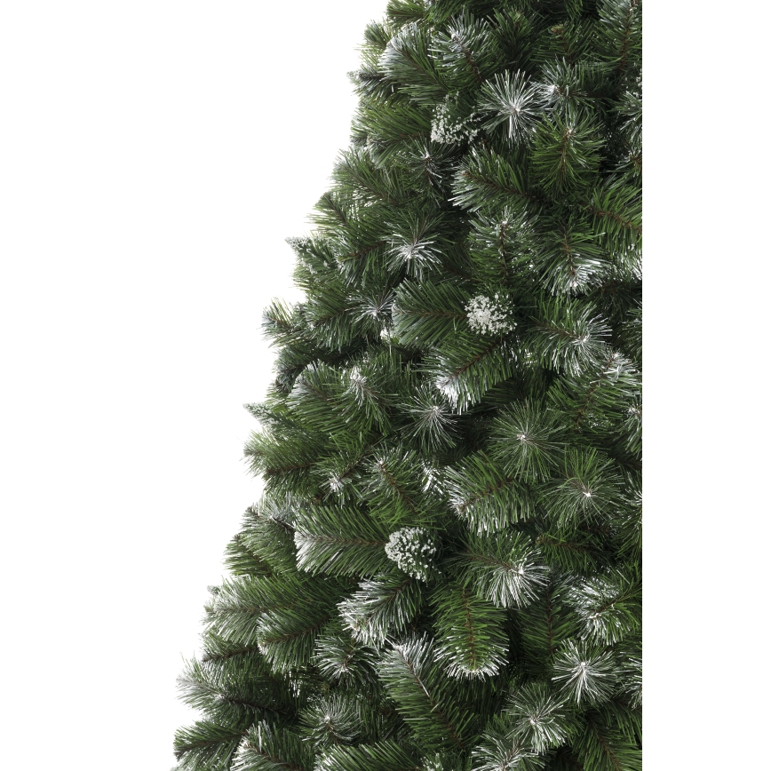 Albero di Natale 250 cm in pino