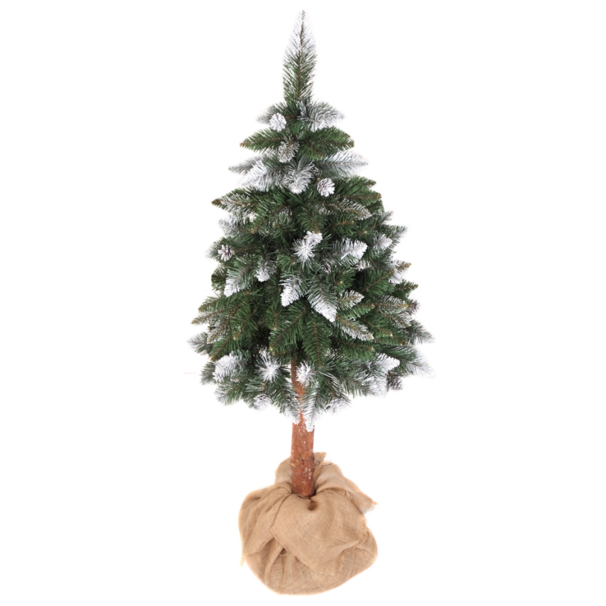 Albero di Natale PIN 180 cm pino