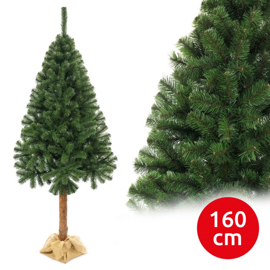 Albero di Natale su tronco 160 cm abete