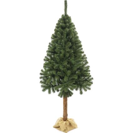 Albero di Natale su tronco 160 cm abete