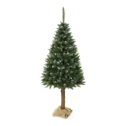 Albero di Natale su tronco 180 cm abete rosso