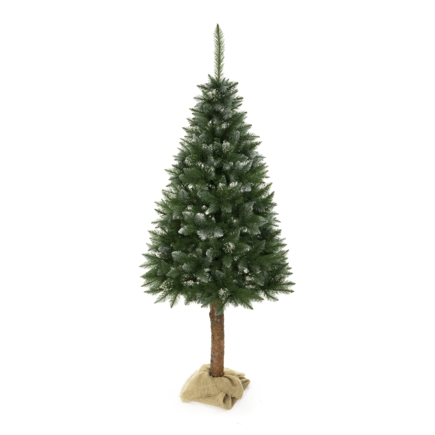 Albero di Natale su tronco 180 cm abete rosso
