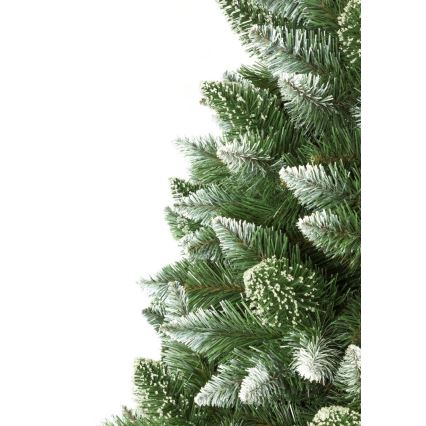 Albero di Natale su tronco 180 cm pino