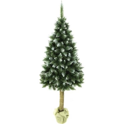 Albero di Natale su tronco 220 cm abete