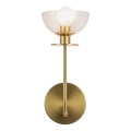 Alora Mood - Lampada da parete SYLVIA 1xE14/40W/230V dorata