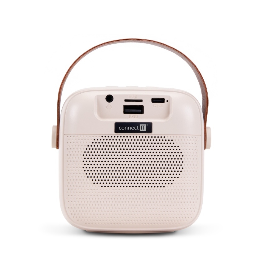 CONNECT IT CSP-1010-BG - Altoparlante LED RGB con 2 microfoni wireless 2Mic 5W/1200 mAh + 2x 400 mAh crema/oro