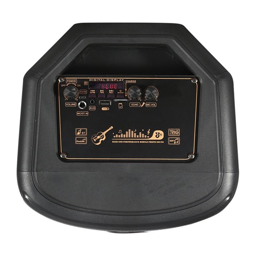 Altoparlante LED RGB ricaricabile con microfono 600W/2400 mAh + telecomando