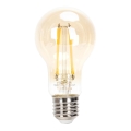 Ampoule à intensité variable LED FILAMENT A60 E27/6W/230V 2200K - Aigostar
