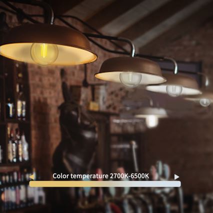 Ampoule à intensité variable LED FILAMENT G45 E14/4,5W/230V 2700-6500K Wi-Fi - Aigostar