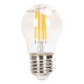 Ampoule à intensité variable LED FILAMENT G45 E27/4W/230V 2200K - Aigostar